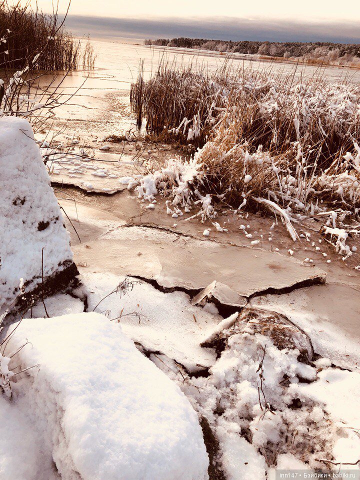 Сердце лечим сердцем, наш девиз. Приглашаю на экскурсию
