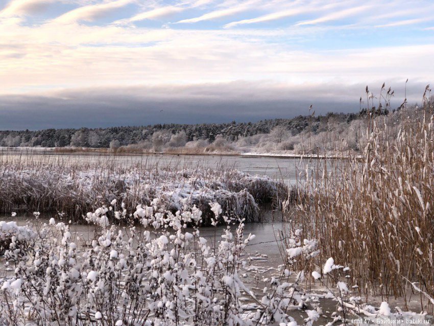 Сердце лечим сердцем, наш девиз. Приглашаю на экскурсию