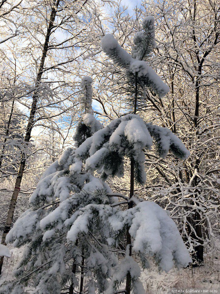 Сердце лечим сердцем, наш девиз. Приглашаю на экскурсию