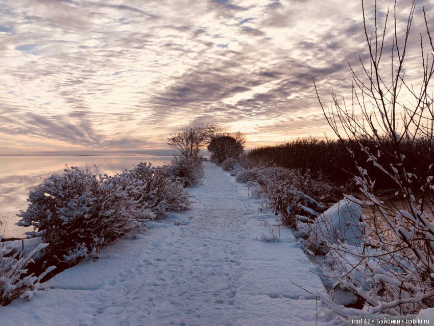 Сердце лечим сердцем, наш девиз. Приглашаю на экскурсию
