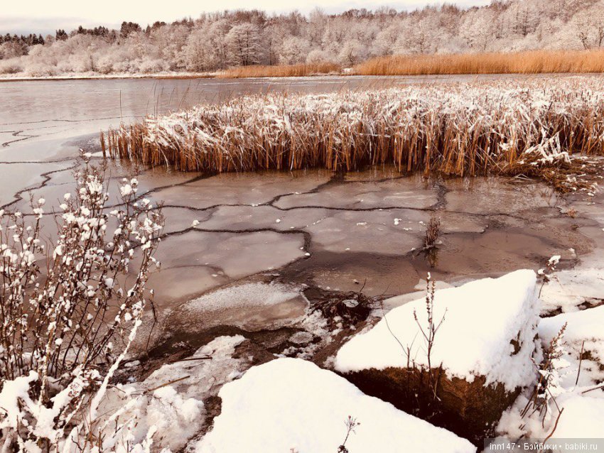 Сердце лечим сердцем, наш девиз. Приглашаю на экскурсию