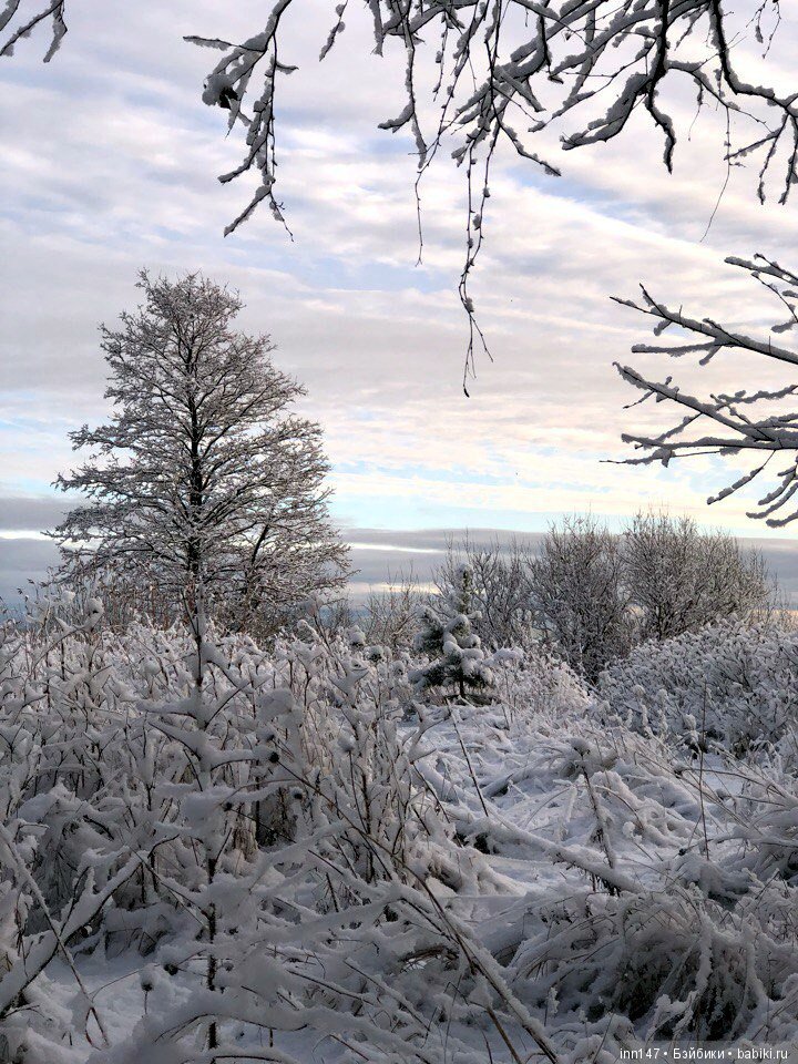 Сердце лечим сердцем, наш девиз. Приглашаю на экскурсию (фото 7)