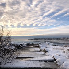 Сердце лечим сердцем, наш девиз. Приглашаю на экскурсию