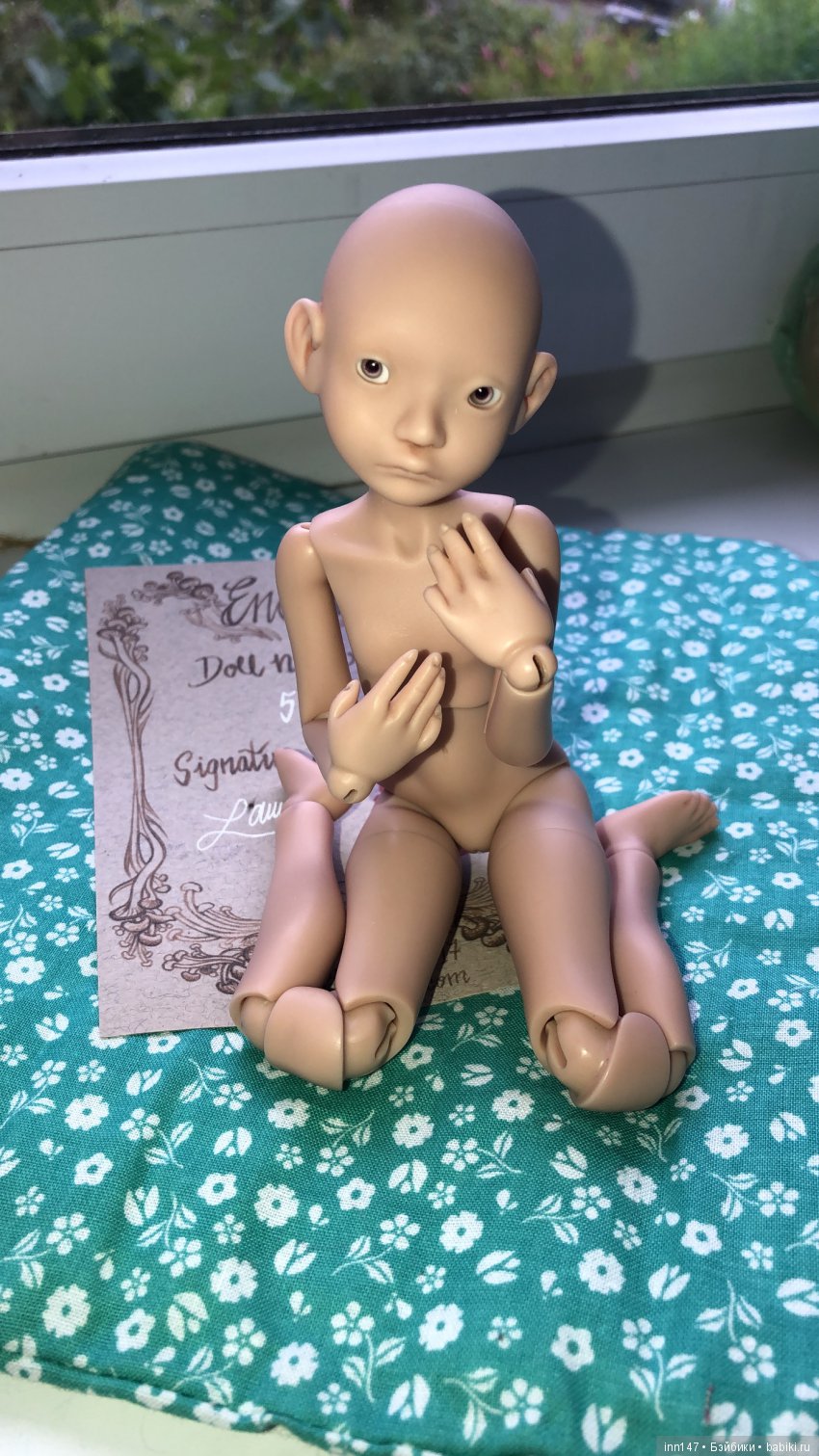 Моя Эноки, любовь с первого взгляда (фото 2)