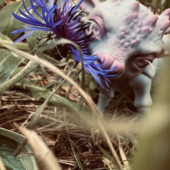 Лесная фотосессия Дракоши (с юмором)