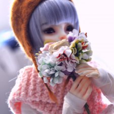Лисички ♥ Цветы