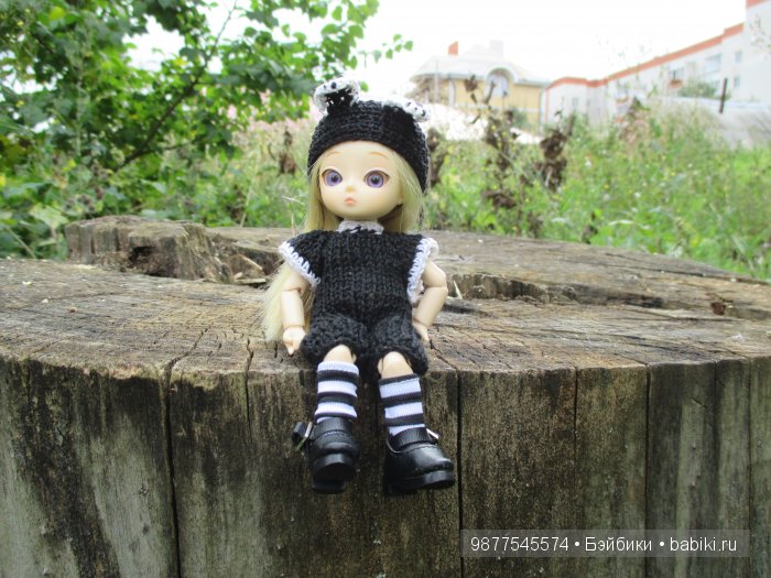 Моя любимица - Ева( Аишка)