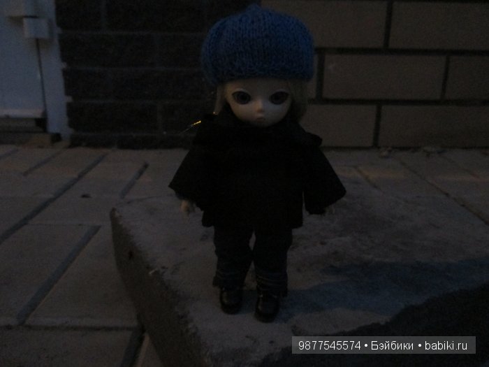 Прогулка Евы 2 (Бжд кукла Аи) (фото 5)
