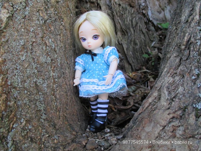 Прогулка Евы 3.( Бжд кукла Аи) (фото 4)