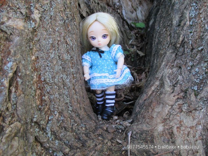Прогулка Евы 3.( Бжд кукла Аи) (фото 3)