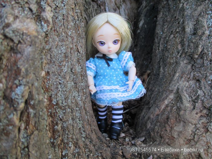 Прогулка Евы 3.( Бжд кукла Аи) (фото 5)