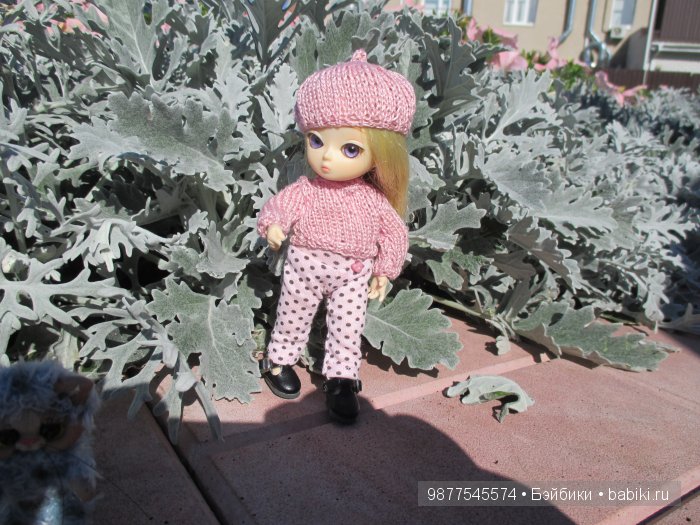 Ева (Бжд Аи) и её котёнок - Смоки (фото 2)