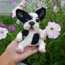 Бульдожка. Валяние из шерсти