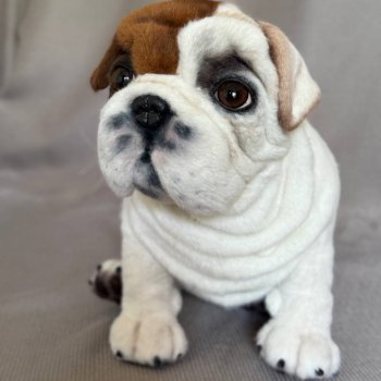 Бульдожка 🐶🐾🐕