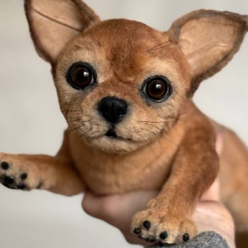 Чишка 🐕🐶🐾