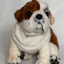 Бульдожка 🐶🐾🐕