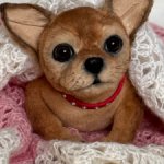 Чишка 🐕🐾🐶