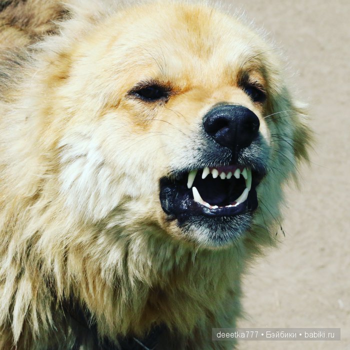 Те, кто нас любит и в домашнем халате, и без косметики, и растрепанными | Бэйбики Те, кто нас любит и в домашнем халате, и без косметики, и растрепанными