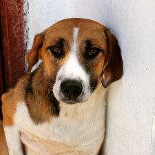 Те, кто нас любит и в домашнем халате, и без косметики, и растрепанными.