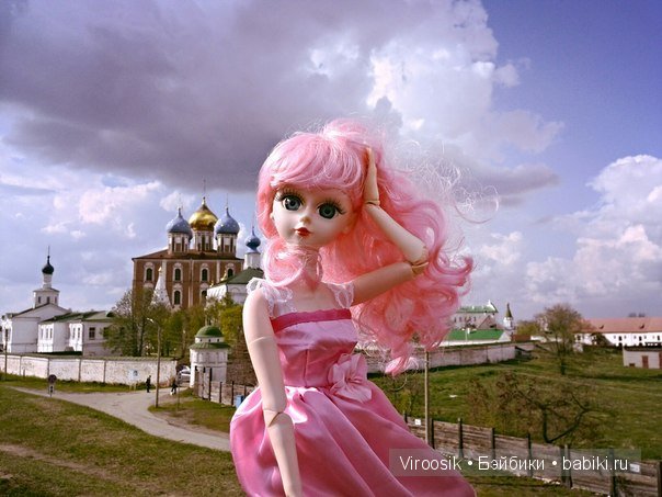 Встреча рязанских коллекционеров кукол(+16)