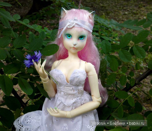 Котейка на прогулке — Куклы Dollmore (Доллмор): корейские BJD (БЖД) (фото 5)