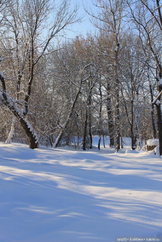 Зима во всей красе | Бэйбики Зима во всей красе — Болталка и разговоры обо всем: жизнь (фото 3)