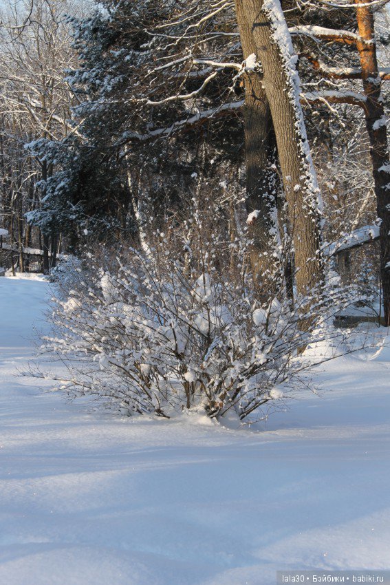 Зима во всей красе | Бэйбики Зима во всей красе — Болталка и разговоры обо всем: жизнь