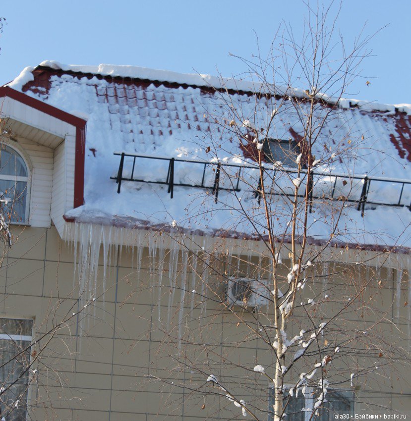 Зима во всей красе | Бэйбики Зима во всей красе — Болталка и разговоры обо всем: жизнь