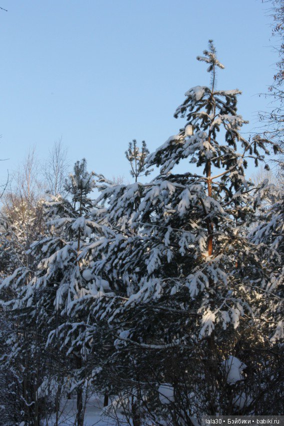 Зима во всей красе | Бэйбики Зима во всей красе — Болталка и разговоры обо всем: жизнь (фото 8)