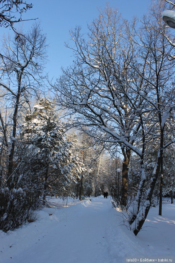 Зима во всей красе | Бэйбики Зима во всей красе — Болталка и разговоры обо всем: жизнь