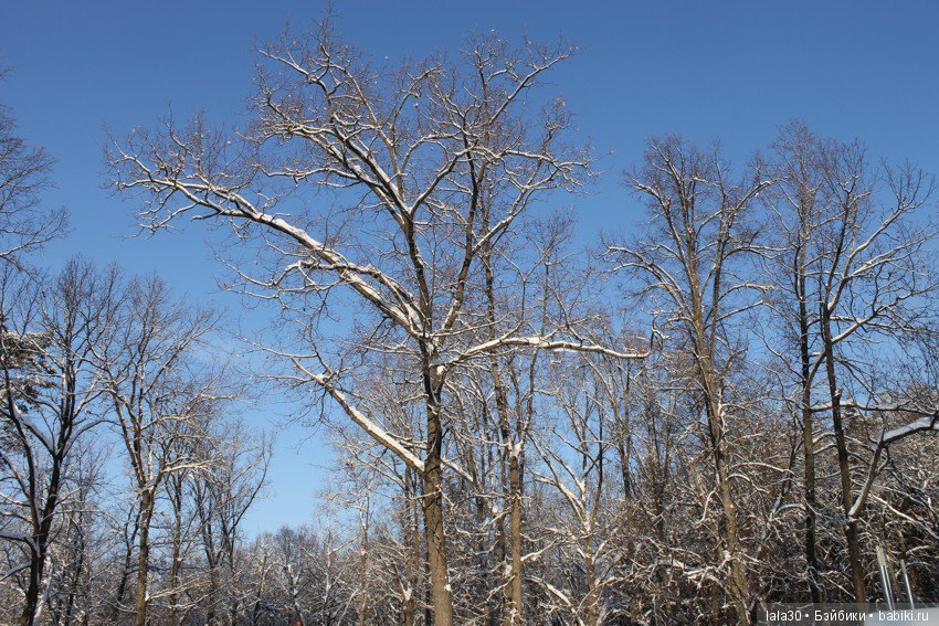 Зима во всей красе | Бэйбики Зима во всей красе — Болталка и разговоры обо всем: жизнь