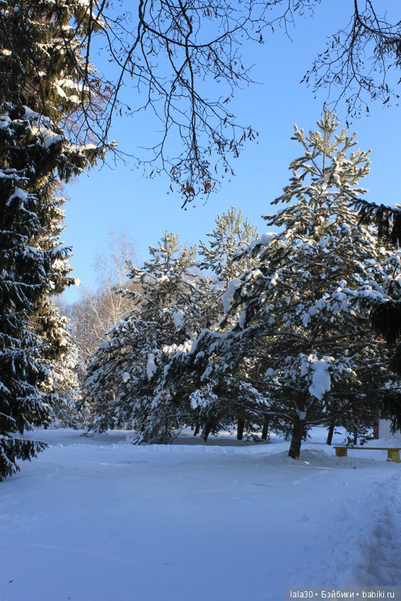 Зима во всей красе | Бэйбики Зима во всей красе — Болталка и разговоры обо всем: жизнь (фото 6)