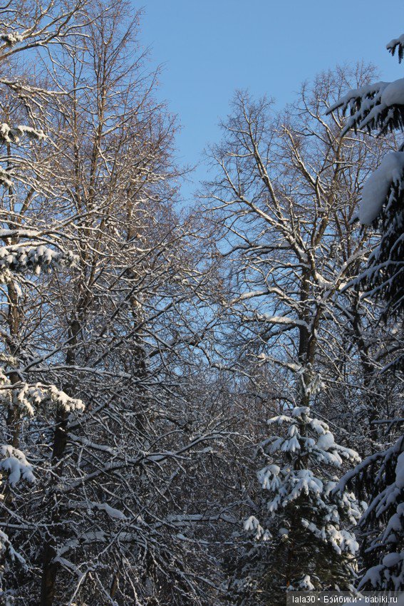 Зима во всей красе | Бэйбики Зима во всей красе — Болталка и разговоры обо всем: жизнь (фото 9)