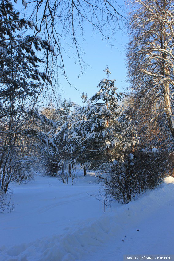 Зима во всей красе | Бэйбики Зима во всей красе — Болталка и разговоры обо всем: жизнь (фото 7)