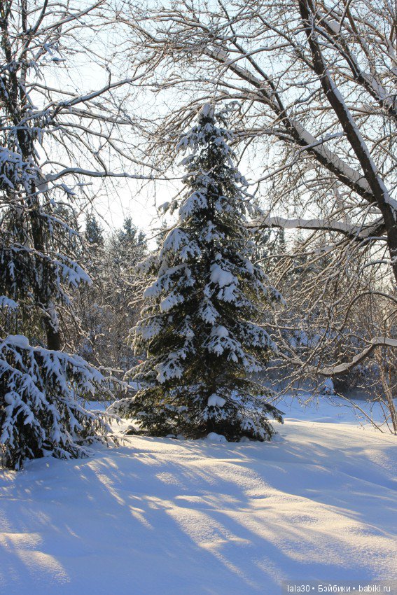 Зима во всей красе | Бэйбики Зима во всей красе — Болталка и разговоры обо всем: жизнь (фото 2)