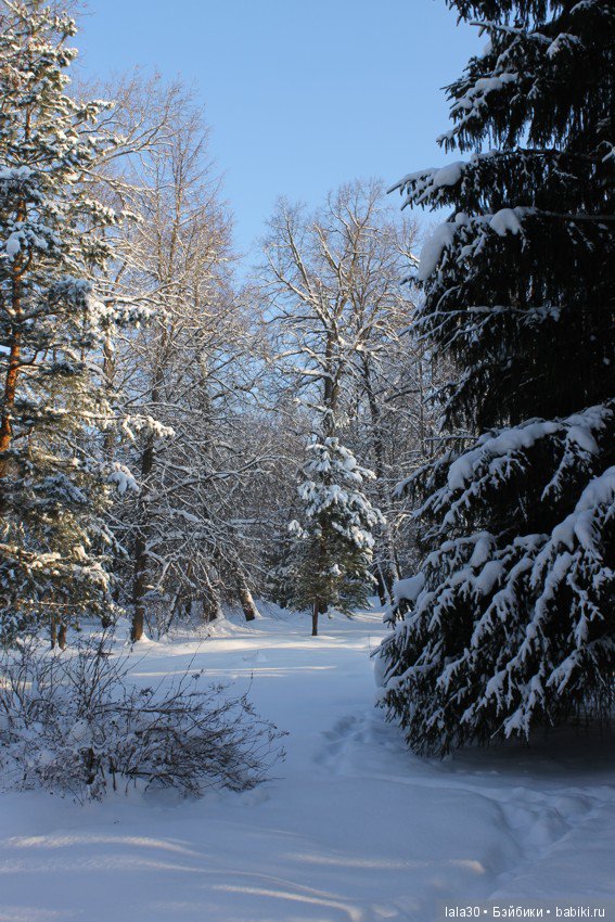 Зима во всей красе | Бэйбики Зима во всей красе — Болталка и разговоры обо всем: жизнь (фото 10)