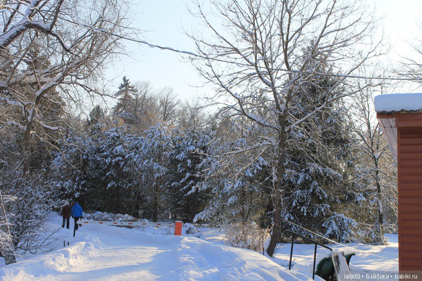 Зима во всей красе | Бэйбики Зима во всей красе — Болталка и разговоры обо всем: жизнь