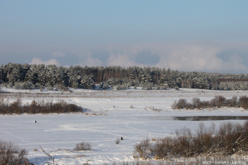 Зима во всей красе | Бэйбики Зима во всей красе — Болталка и разговоры обо всем: жизнь