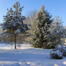 Зима во всей красе