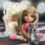 Оставлю на память! Пукифи Анте