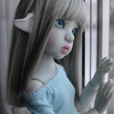 Серо-голубое чудо