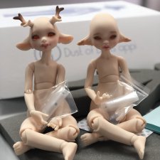 Лапули приехали