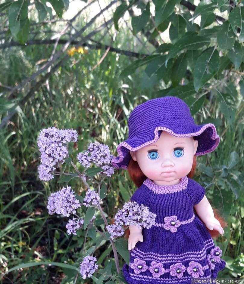 Лиловая летняя душица для чая