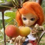 Осенние ягодки.