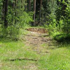 Ботаническая экспедиция.