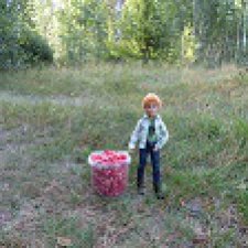 Август, лес, брусника.