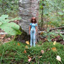 В дикий лес по дикий хмель