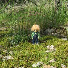 Как вилиса в лесу гуляла