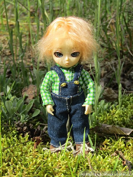 Вилька в лесу