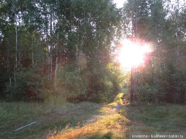 восход солнца